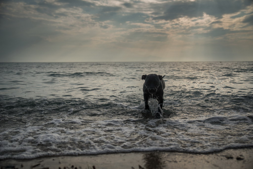  Marta pliva i uživa na moru 